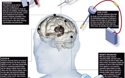 11 Steps to a Better Brain