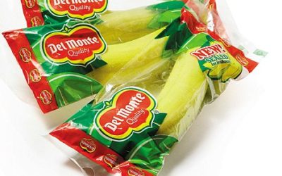 I must be seeing things: Individually plastic wrapped bananas