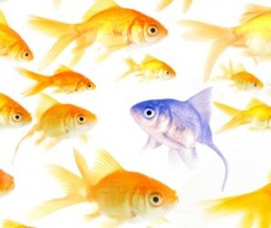 Why your marketing team needs smaller databases