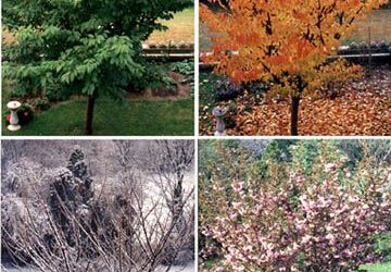 Change and the seasons