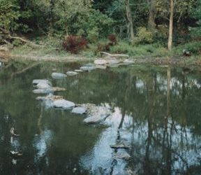 Stumbling Blocks as Stepping Stones?