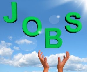 Where have all the jobs gone?