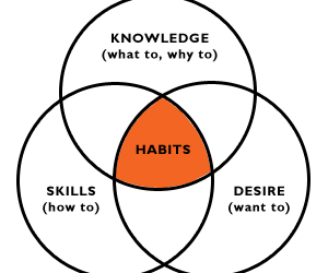 Habits & what’s on in the Future of Work Academy in July