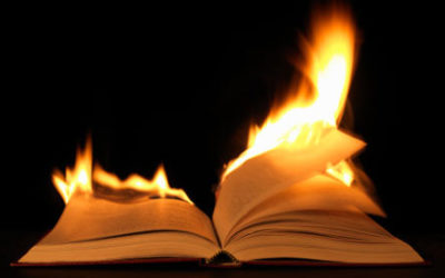 Business books and ideas that need to burn