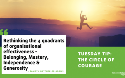 Circle of Courage – Rethinking the 4 quadrants of organisational effectiveness.