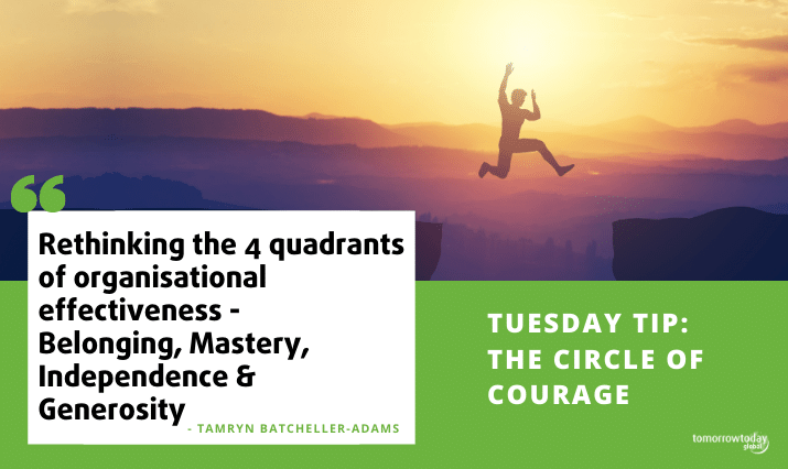 Circle of Courage – Rethinking the 4 quadrants of organisational effectiveness.