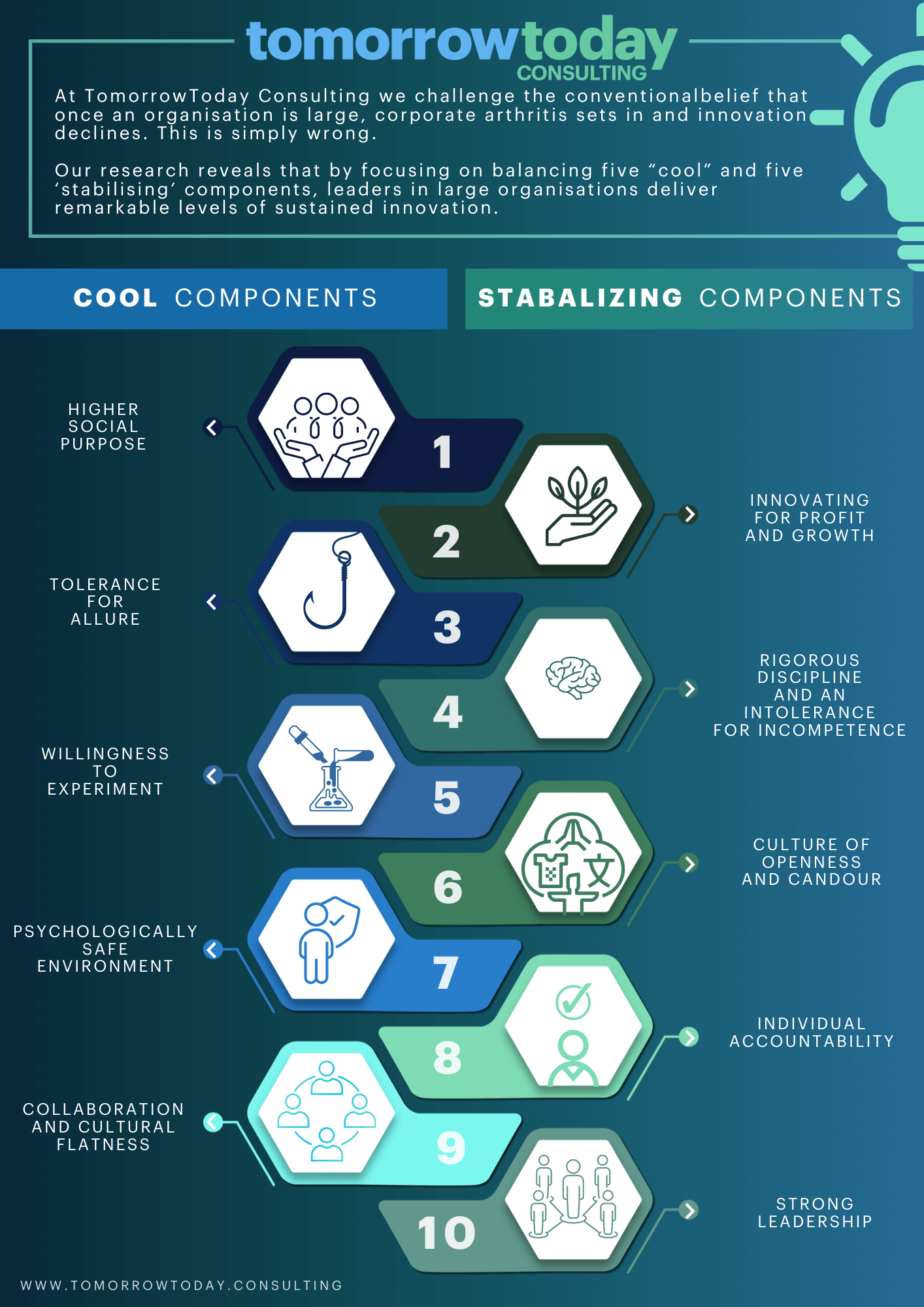 TTG_Components_Infographic