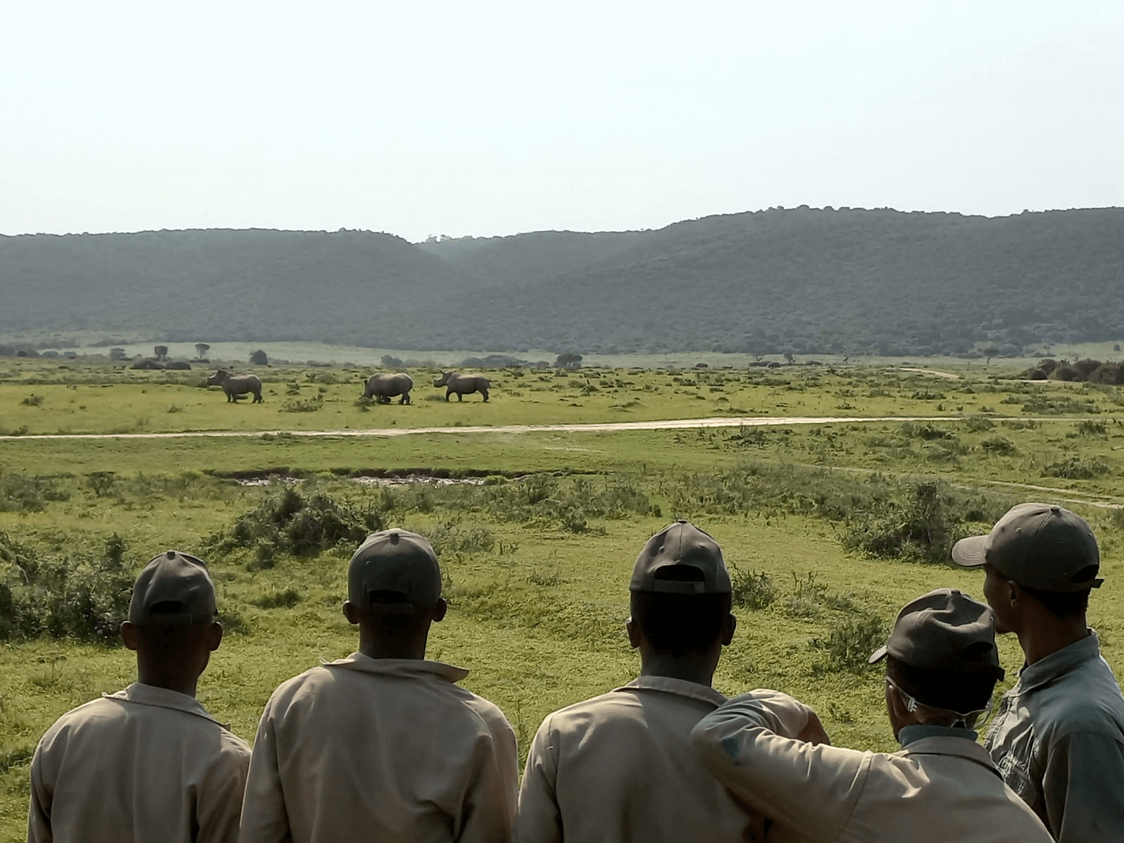 How Biodiversity Helps Regulate Climate Change