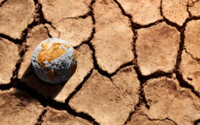 ThrowForward Thursday: The Great 50-year global drought