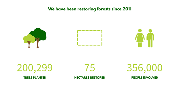 Greenpop on their Forest Restoration project.