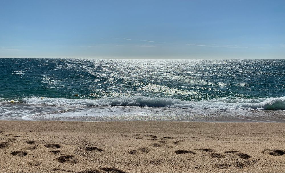 The Leadership Skill Missing From Your 2025 Strategy Finding Your Ocean. The Leadership Skill Missing From Your 2025 Strategy Finding Your Ocean.