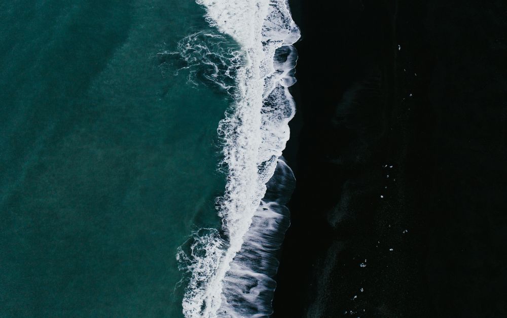 The Leadership Skill Missing from Your 2025 Strategy: Finding Your Ocean.