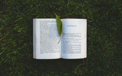 Learning is the lesson: Three habits of attention for leaders to cultivate.