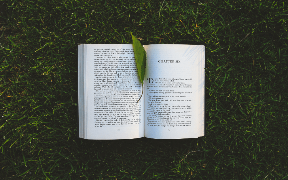Learning is the lesson: Three habits of attention for leaders to cultivate.