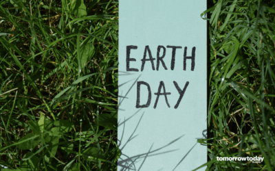 5 for Friday – 24 April 2026