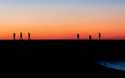 How to Prepare Your Team for Disruption: Five Leadership Strategies That Build Future-Fit Organisations